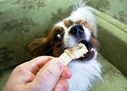 Organic Dog Treats